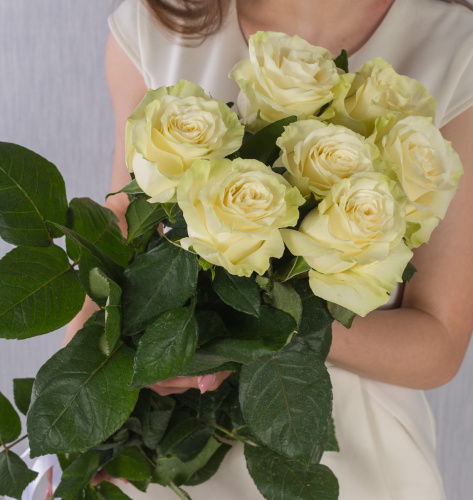 Букет из 7 Белых крупных роз 60 см N 36402