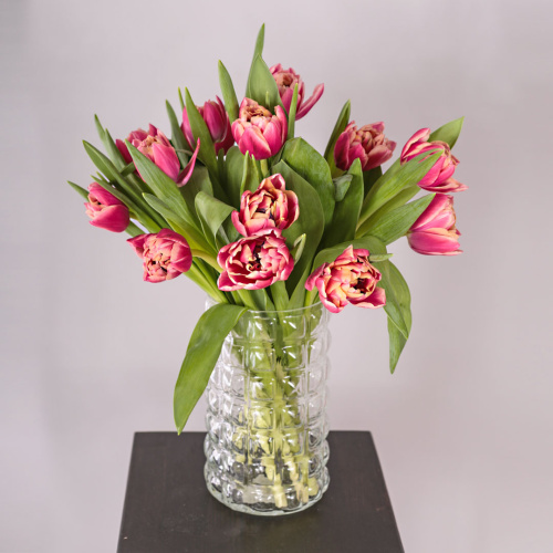 Букет из 15 пионовидных тюльпанов Колумбус 46325