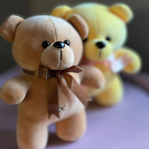 Игрушка Мишка цветной велюровый 24 см. N 41885