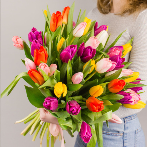Тюльпаны 51 шт. МИКС 7336