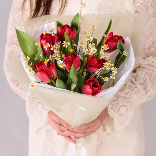 Букет из 7 красных тюльпанов с ромашками 59873