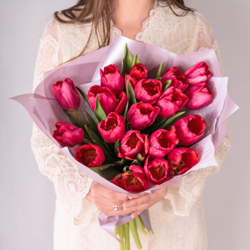 Букет из 19 малиновых тюльпанов в упаковке 59900