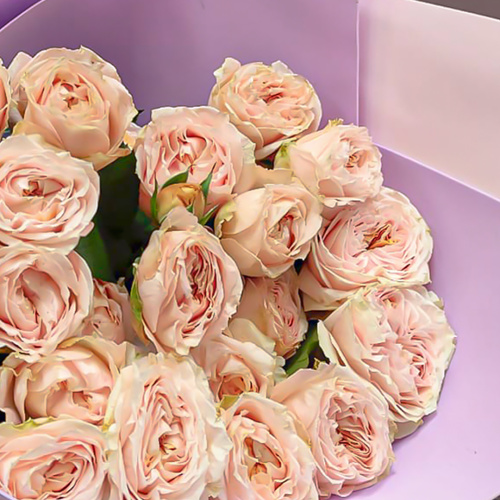 Букет из кустовых пионовидных роз персикого цвета N 45353