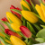 Букет из 25 красных и желтых тюльпанов в упаковке 46175
