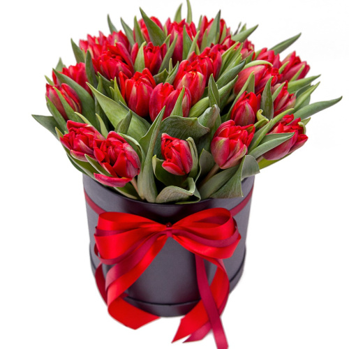 Тюльпаны пионовидные 25 шт. в коробке (красные) арт. 46170