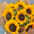 Букет из 9 Подсолнухов 35834