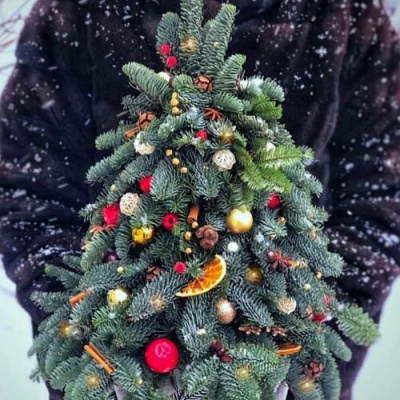 "Елка N 4"(40 см.) из нобилиса, сухоцветов и хлопка.N 25898 "Елка N 4"(40 см.) из нобилиса, сухоцветов и хлопка.N 25898