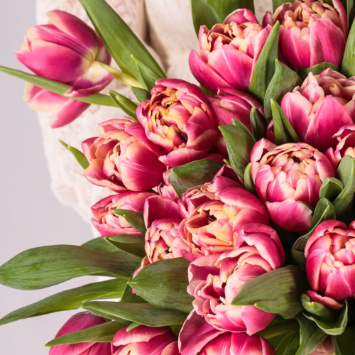 Букет из 51 пионовидного тюльпана Колумбус 46174