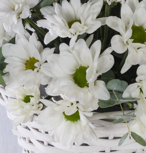 Корзина с хризантемой "Летнее настроение" 36287