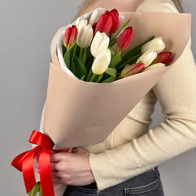 Букет из 15 красно-белых тюльпанов 28405