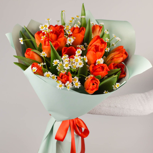 Букет из 19 алых тюльпанов с ромашками 46334