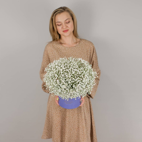 Коробка с гипсофилой белая N 50464