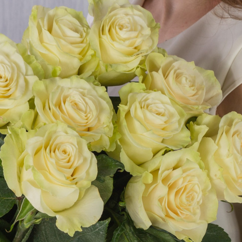 Букет из 9 крупных Белых крупных роз Эквадор 60 см N 36401