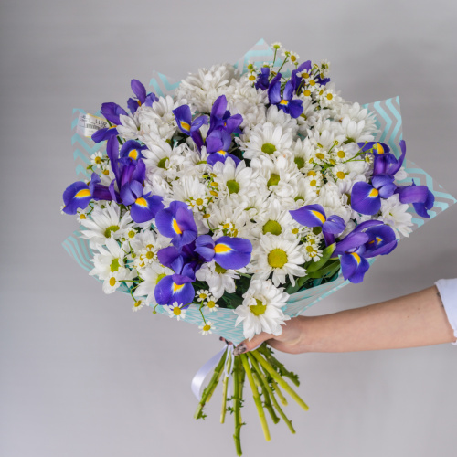 Букет с хризантемой, ирисом и ромашками N 52674