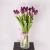 Букет из 15 фиолетовых тюльпанов 28774