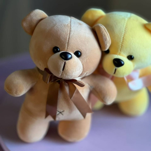 Игрушка Мишка цветной велюровый 24 см. N 41885