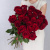Букет из 25 Красных роз 60 см N 7305 Букет из 25 Красных роз 60 см N 7305