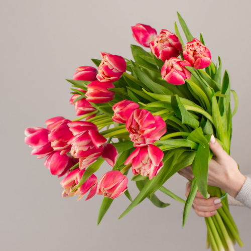 Букет из 15 пионовидных тюльпанов Колумбус 46325