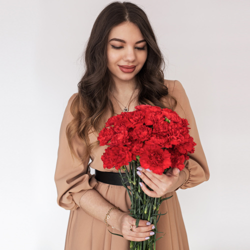Гвоздика красная ПОШТУЧНО N 24