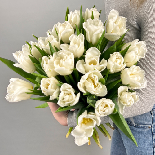 Букет из 25 белых пионовидных тюльпанов под ленту 46176
