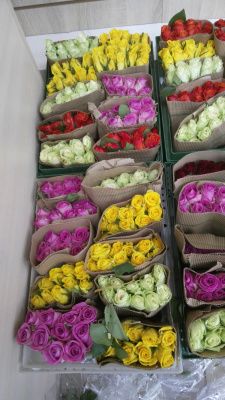 100 Роз Кения 35 см. в технической упаковке. (по 10 шт. в упаковке)