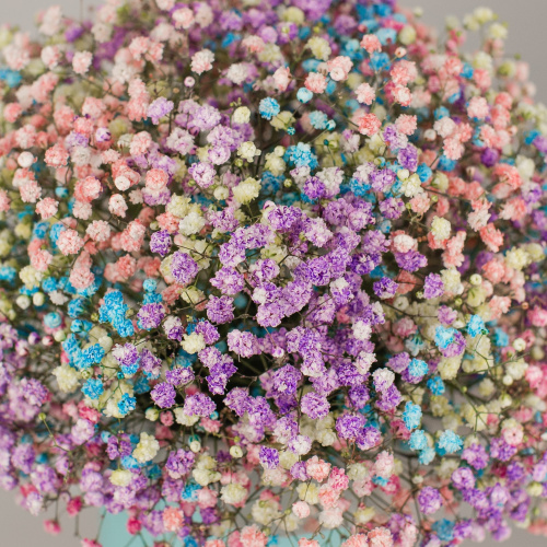 Коробка с цветной гипсофилой N 47195