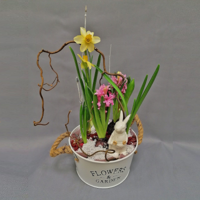 Кашпо с луковичными первоцветами S (нарцисс, гиацинт) 28812