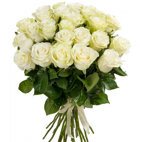 Букет из 25 Белых роз 60см N 7304