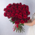 Букет из 51 Красной розы 60 см 7298 Букет из 51 Красной розы 60 см 7298