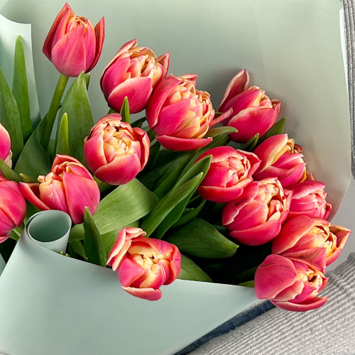 Букет из 15 пионовидных тюльпанов Колумбус 46326