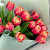 Букет из 15 пионовидных тюльпанов Колумбус 46326