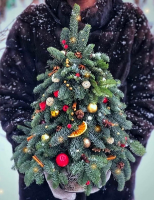 "Елка N 4"(40 см.) из нобилиса, сухоцветов и хлопка.N 25898 "Елка N 4"(40 см.) из нобилиса, сухоцветов и хлопка.N 25898