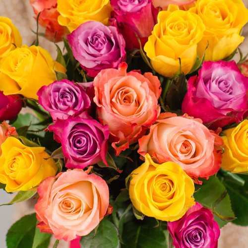 Букет из 25 эквадорских роз 40 см Яркий микс N 7310