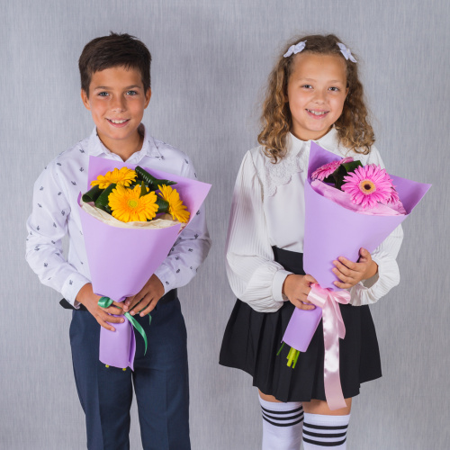 Школьный букет из гербер для мальчика N 37960