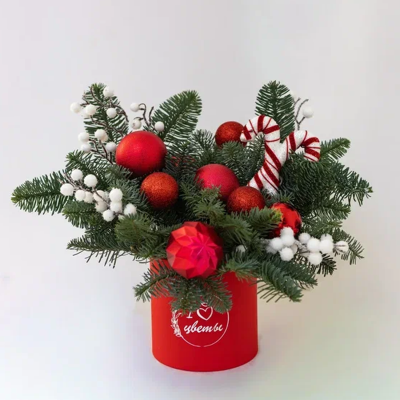 Композиция корробка из нобилиса с фигуркой карамелькой N90868