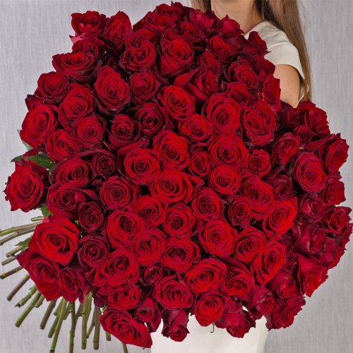 Роза красная Эквадор 60 см N 902