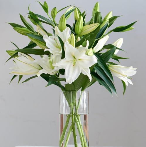 Лилия белая N 842