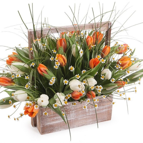 Ящик с тюльпанами XL арт. 28961