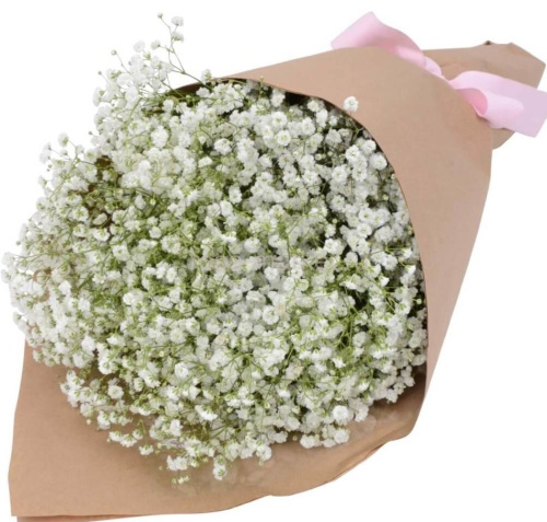 Букет из цветной гипсофилы. Размер S. 29257-С