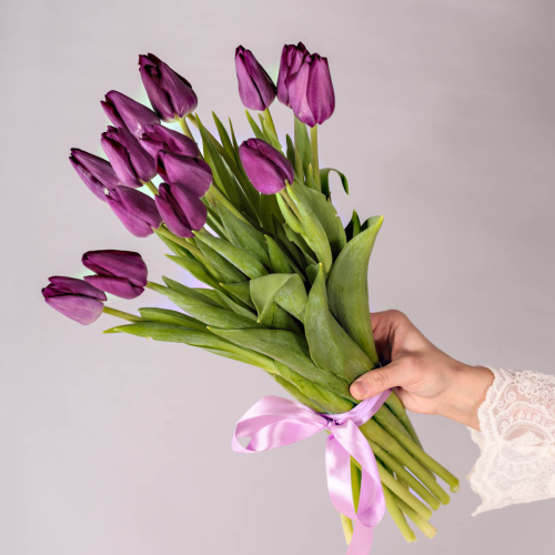 Букет из 15 фиолетовых тюльпанов 28774