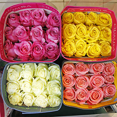 50 Роз Эквадор 40 см. в технической упаковке. (по 25 шт. в упаковке) 50 Роз Эквадор 40 см. в технической упаковке. (по 25 шт. в упаковке)