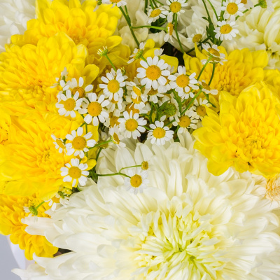 Букет из одноголовых и кустовых хризантем с ромашками N 52704 Букет из одноголовых и кустовых хризантем с ромашками N 52704