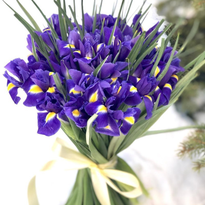 Букет из 25 Ирисов 7333 Букет из 25 Ирисов 7333