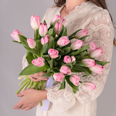 Букет из 25 розовых тюльпанов (без упаковки) 7338 Букет из 25 розовых тюльпанов (без упаковки) 7338