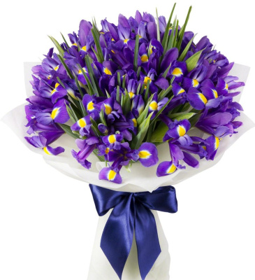 Букет из 51 Ириса 7331 Букет из 51 Ириса 7331